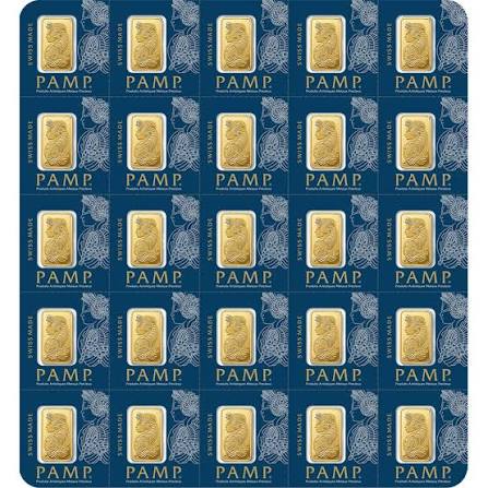 Multigram+25 Lady Fortuna™ Gold Minted Bar (1g x 25) – 999.9 Fine Gold [PAMP SUISSE]